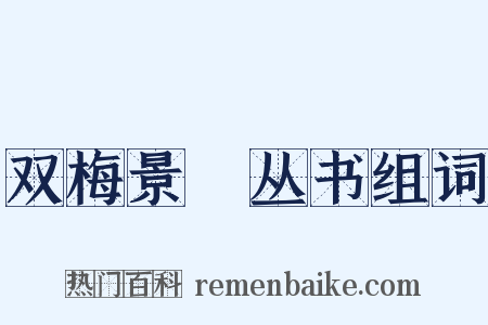 双梅景闇丛书组词是什么意思的图片